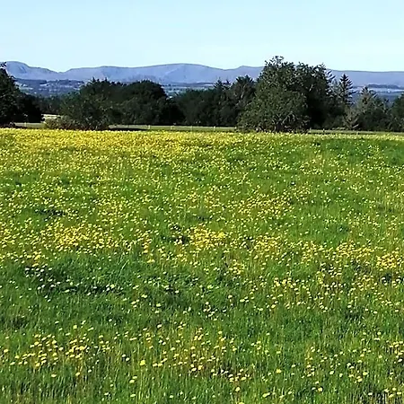 Domek letniskowy District And Eden Valley Thornhill