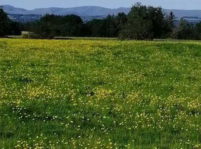 District And Eden Valley Thornhill *